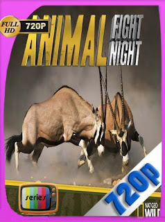 Animal Fight Club Temporada 1​ HD [720p] Latino [GoogleDrive] SXGO