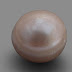 World's Oldest Natural Pearl Found in Abu Dhabi