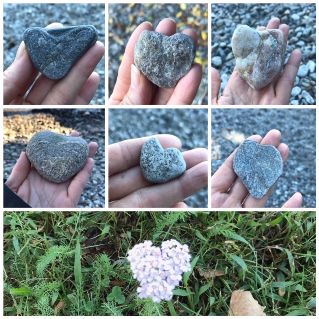 イタリア・ストレーザのマッジョーレ湖沿いで見つけたハート型の石
