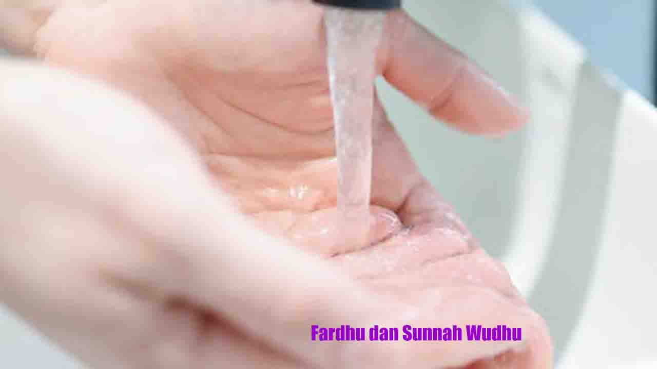 Fardhu dan Sunnah Wudhu | Penjelasan Terlengkap dari Sudut Pandang Ulama Fardhu dan Sunnah Wudhu | Penjelasan Terlengkap dari Sudut Pandang Ulama