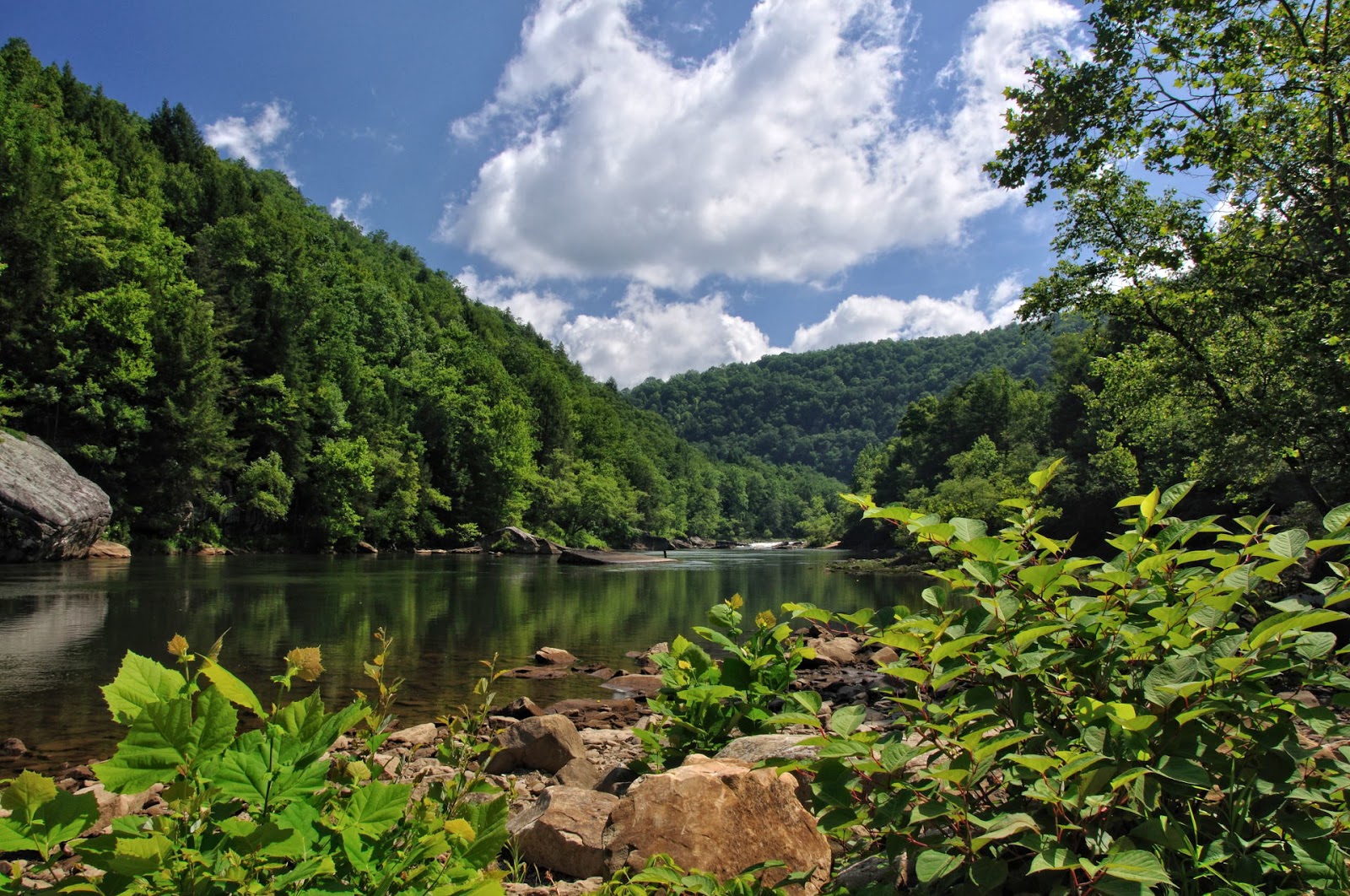Discover West Virginia Ramsey Branch Falls a Hidden Gem