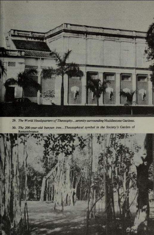 106117669_1595901630577622_5145547259895