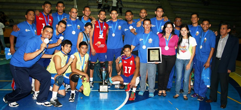 Aragua Voleibol Club
