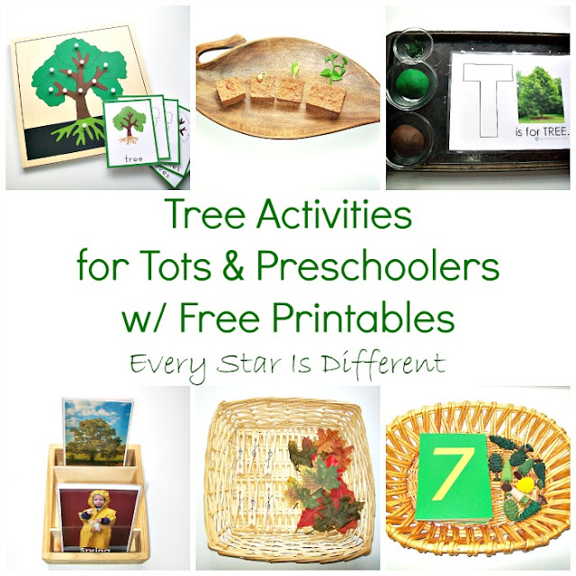 Tree Activities for Tots & Preschoolers with Free Prinrtables