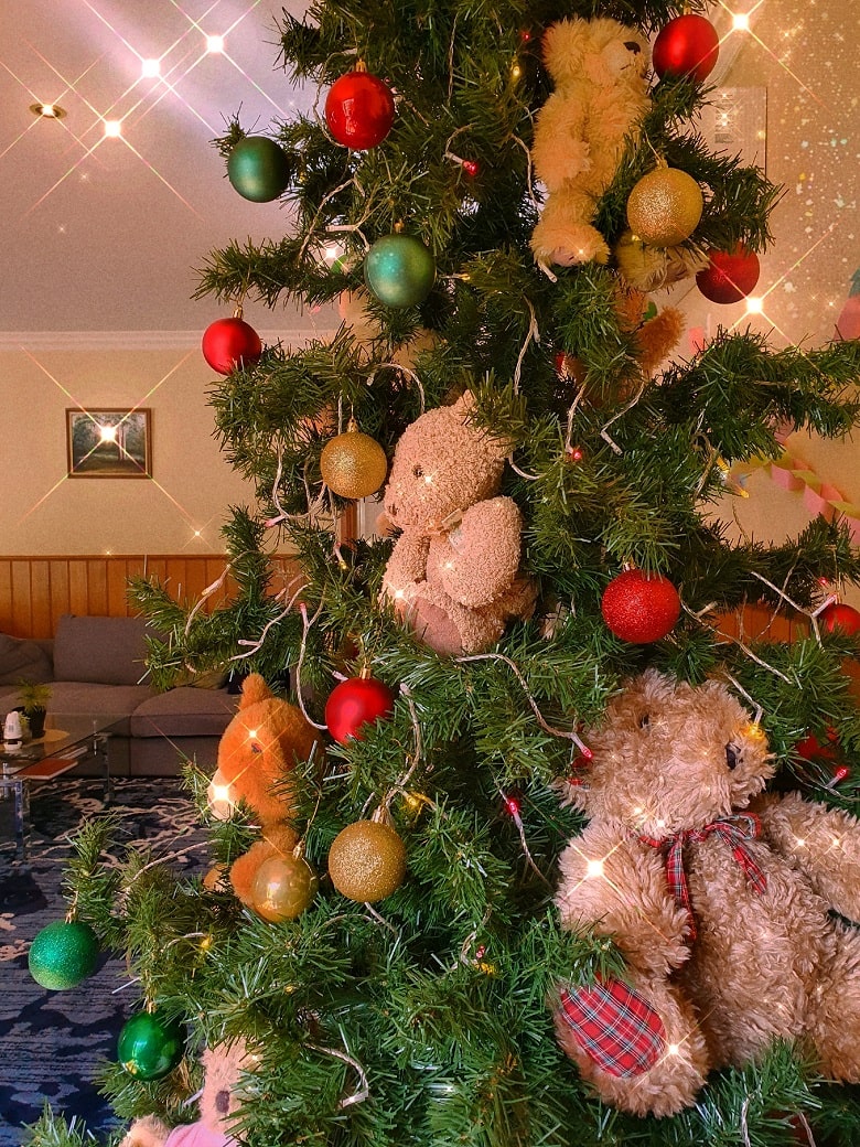 I Rescued Orphaned Teddy Bears and Find Them Home Right before