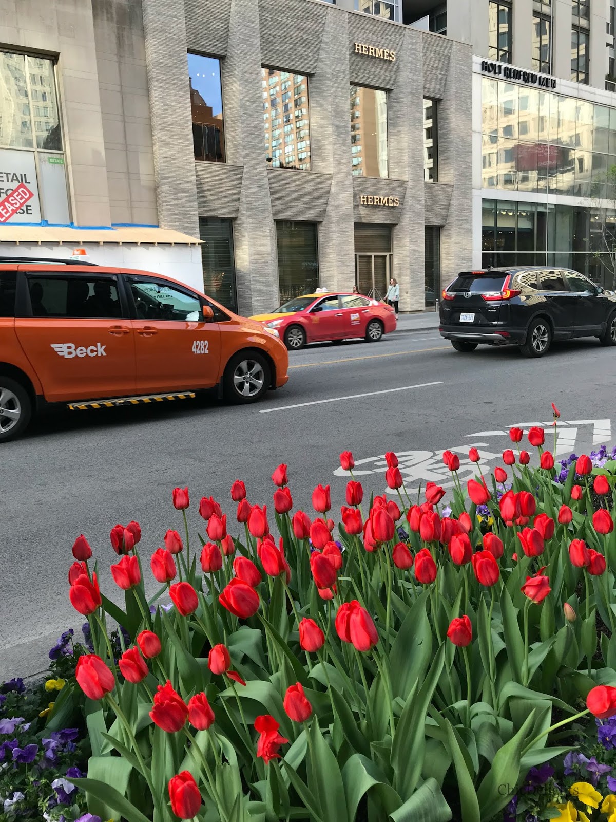 Spring Blooms At BloorYorkville Chic Delights