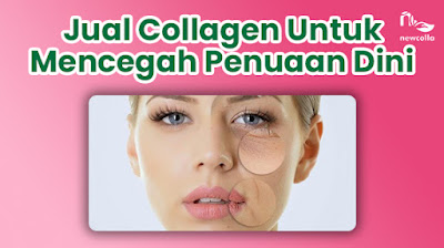 Jual Collagen untuk Mencegah Penuaan Dini