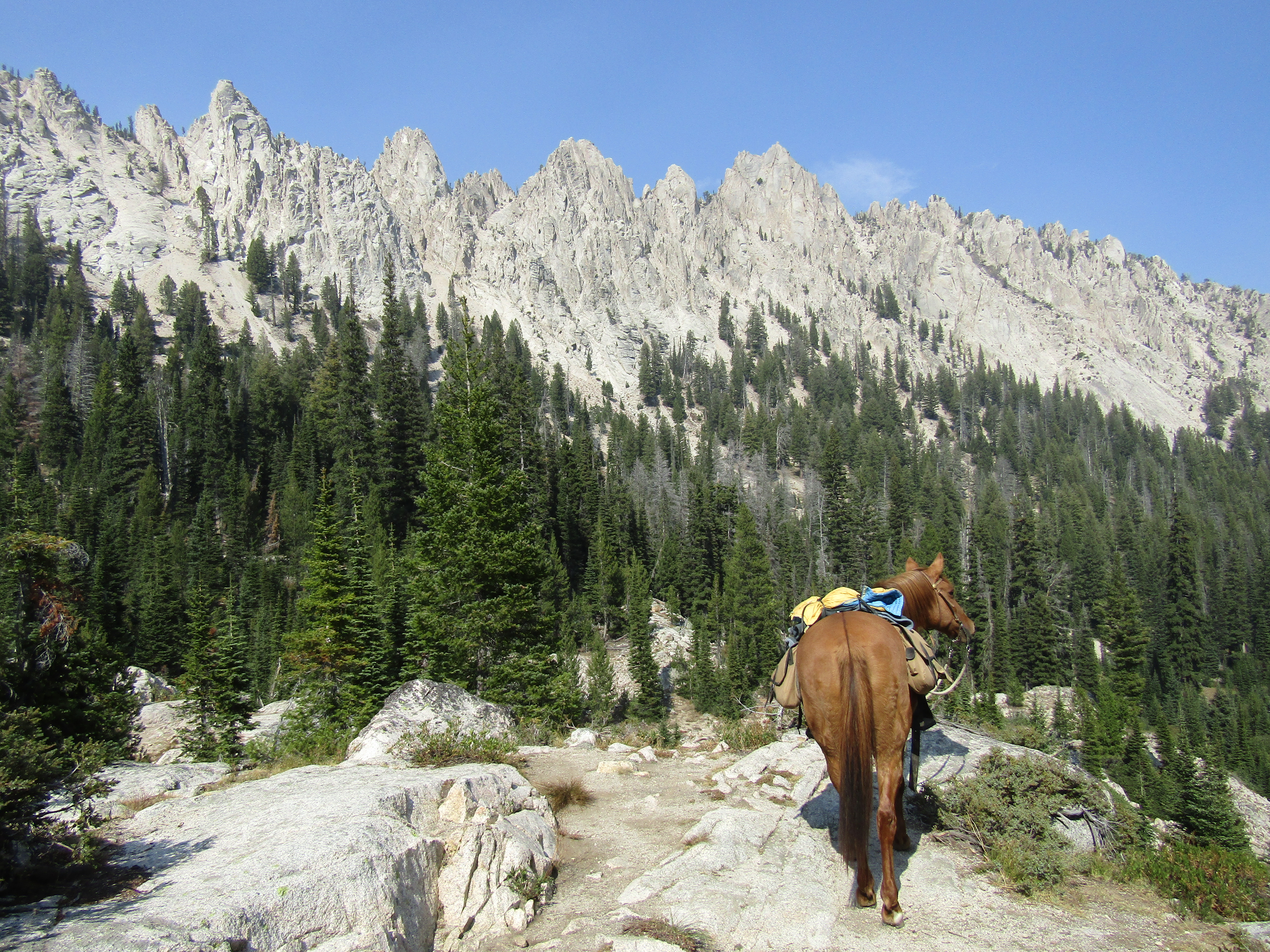 Holly's Horse Tales and Trails Tin Cup, Decker Flat, Iron Creek and