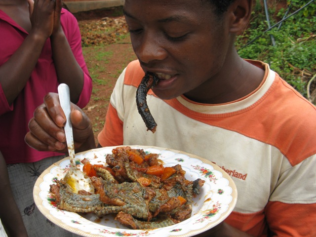 Africa Renewal University: Eating Snake...