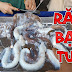 Răng bạch tuộc là gì? Mua ở đâu?
