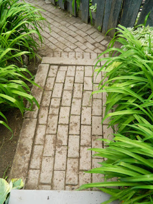 Toronto Leslieville Summer Garden Cleanup After by Paul Jung Gardening Services--a Toronto Organic Gardener Toronto Leslieville Summer Garden Cleanup After by Paul Jung Gardening Services--a Toronto Organic Gardener