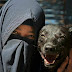 Wanita Bercadar Ini Tak Khawatir Air Liur 11 Anjing Peliharaannya