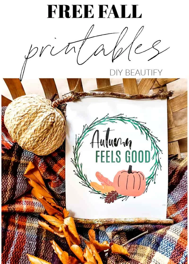 Fall sign, plaid throw and colorful leaves