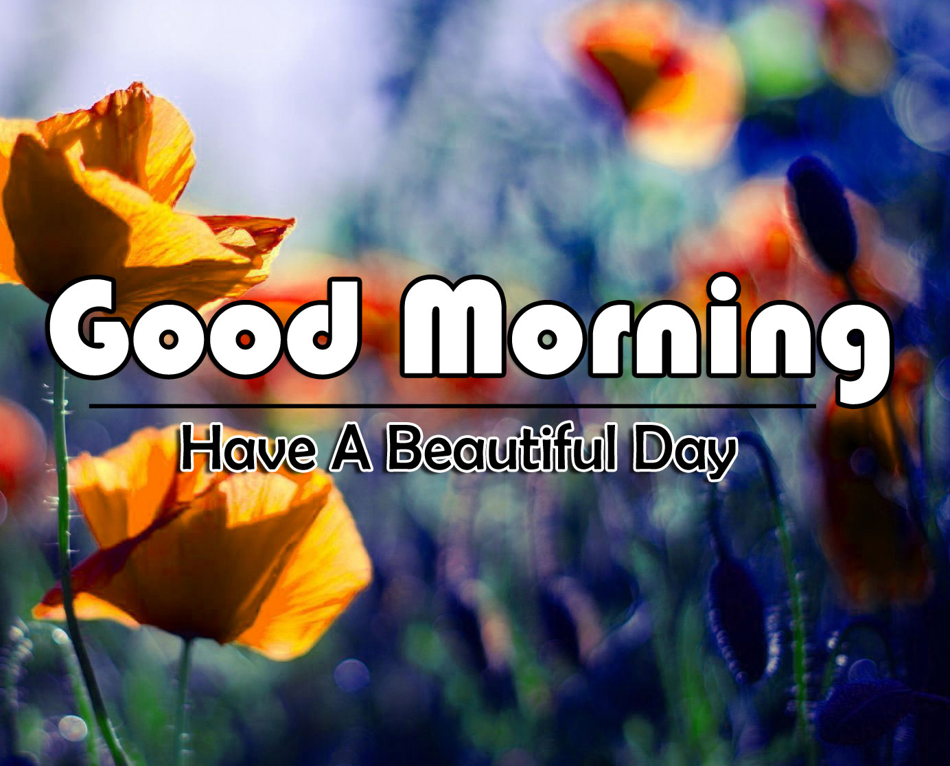 New Good Morning 4k Full HD Images Download For Daily ...
