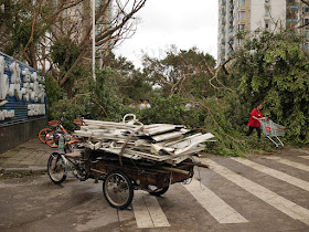 scrap collector cleaning up debris from Typhoon Hato at the Bay Bar Street in Zhuhai