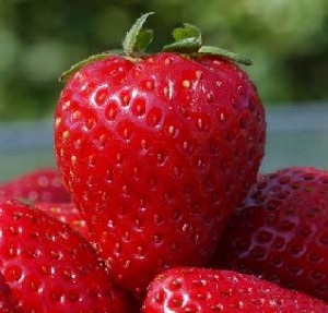 Sehat dengan Buah Strawberry