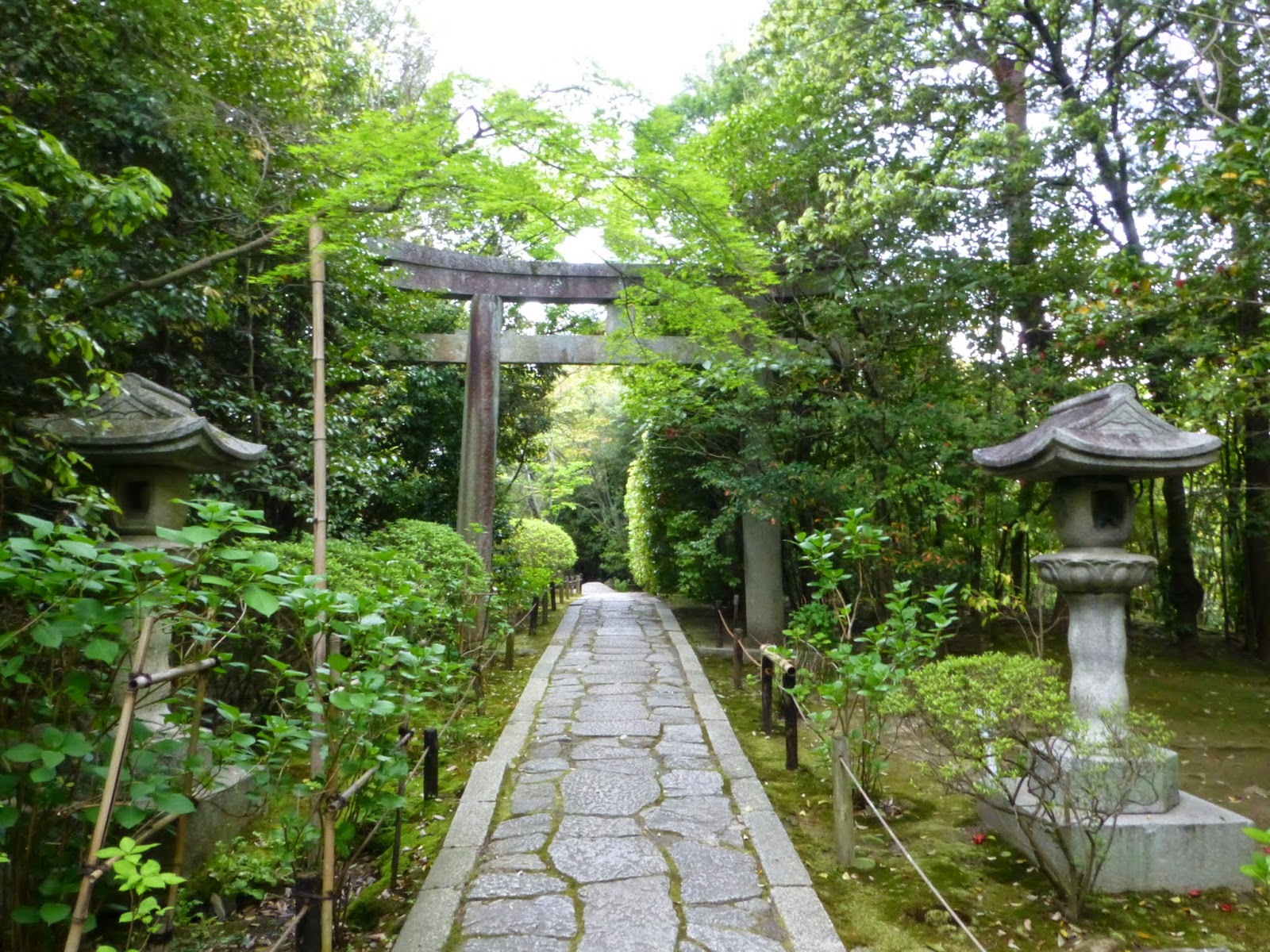 Chaos and Kanji: Kyoto: Konchi-in Temple Gardens