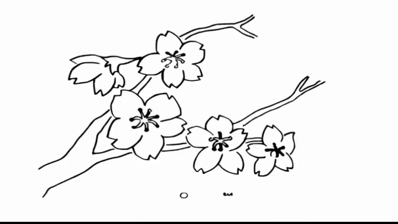 gambar mewarnai tema tumbuhan bunga sakura