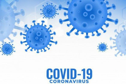 Update Covid-19 Ponorogo. 4 pasien sembuh dan 2 orang positif