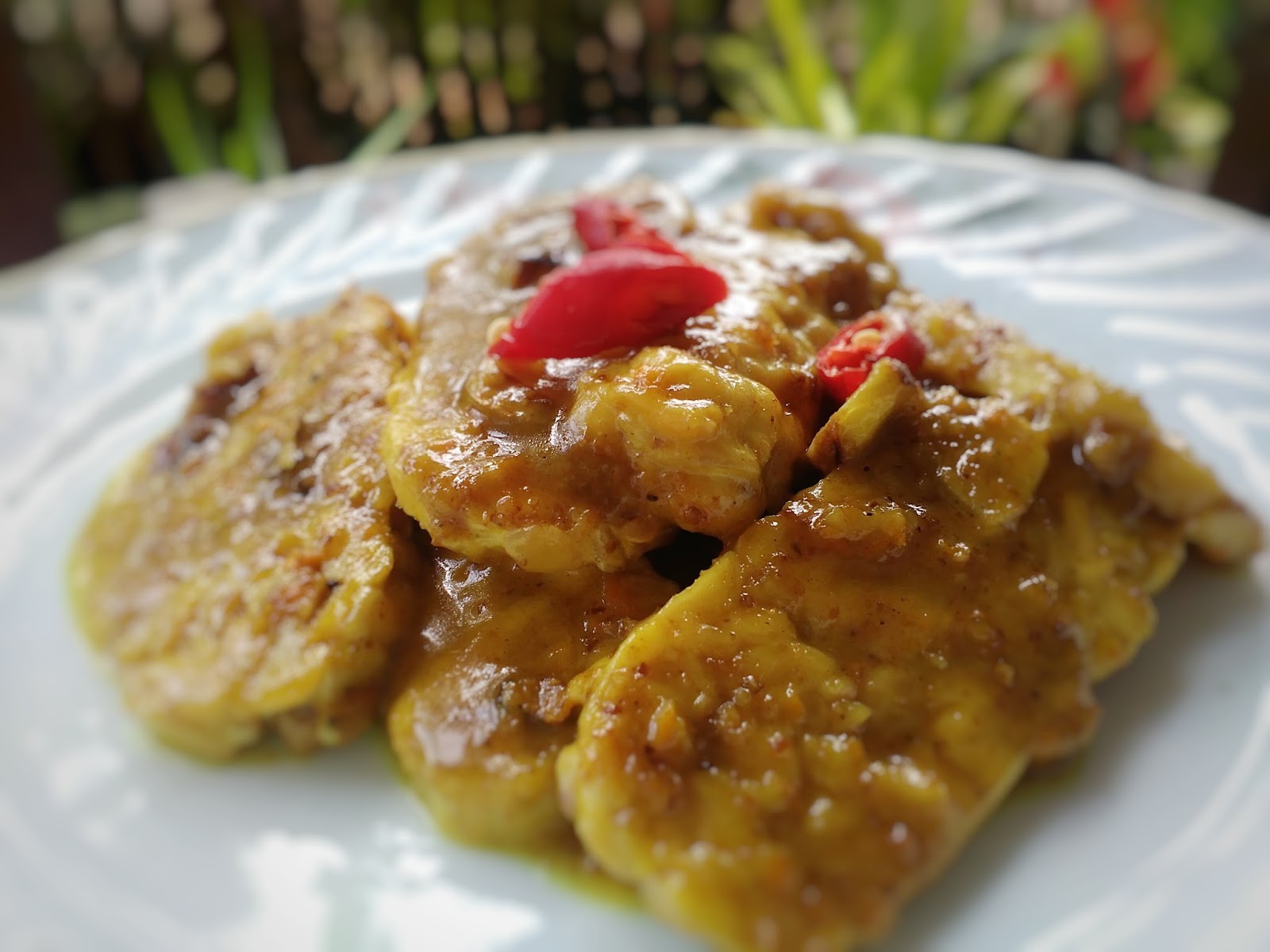 Resep Terik Tempe