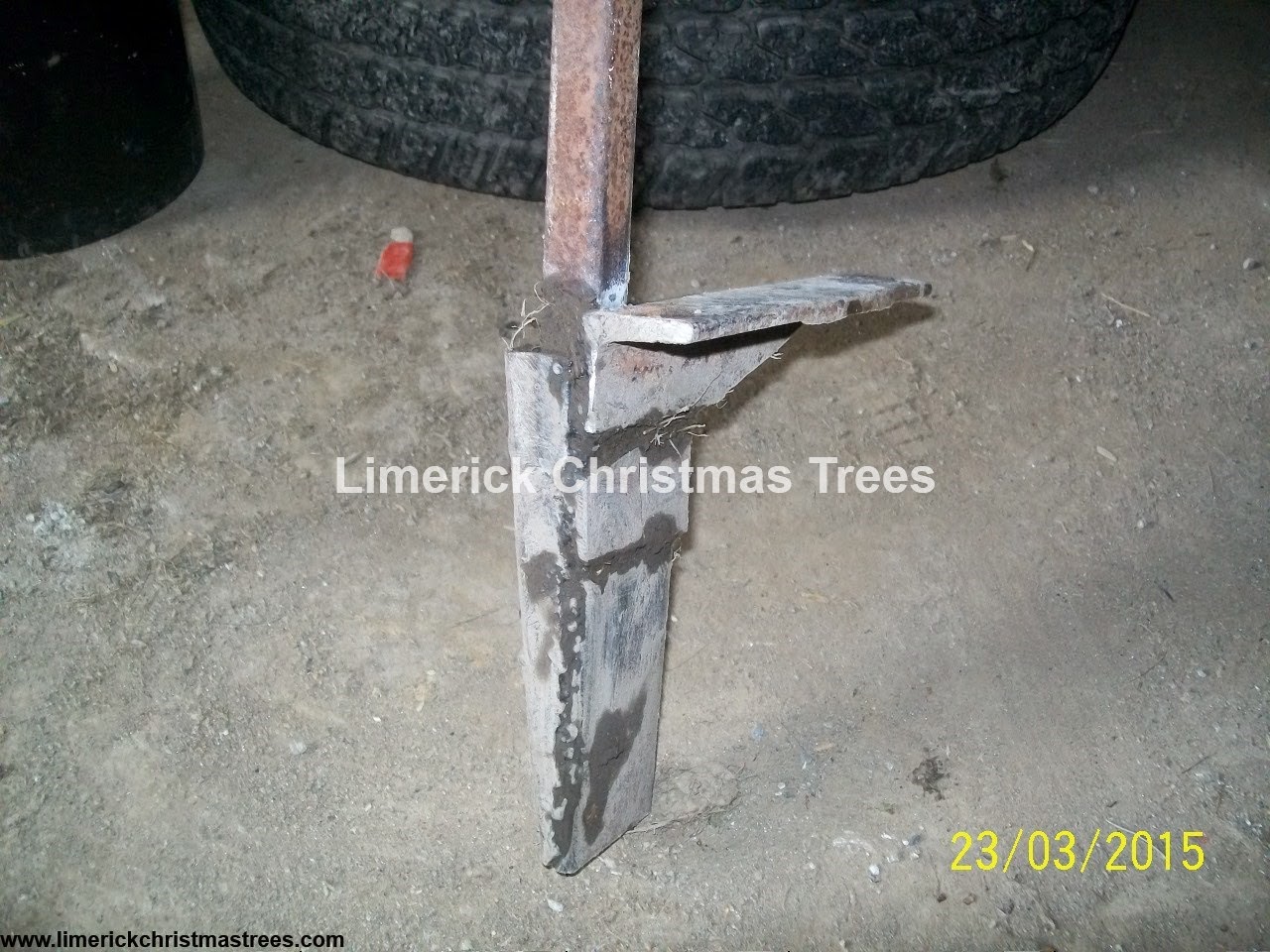 Limerick Christmas Tree Centre Planting Christmas Trees