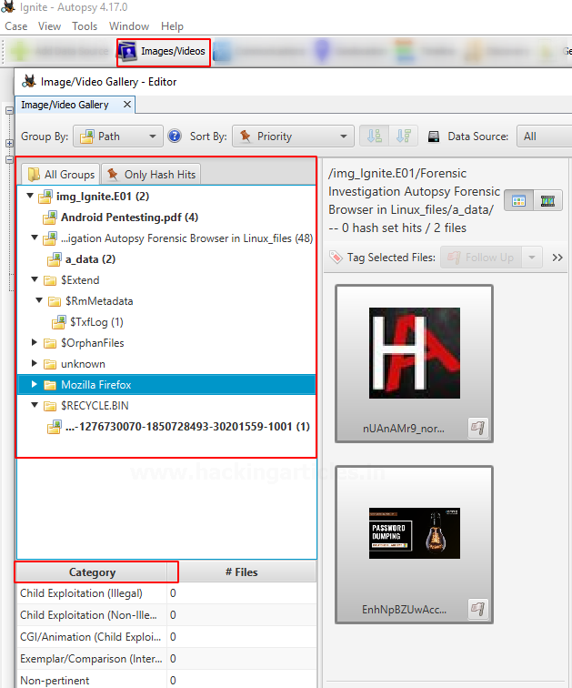 Autopsy Tool for Windows