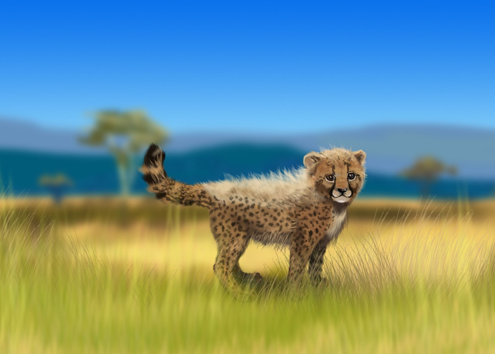 Cheetah cubs running - photo# 32. 