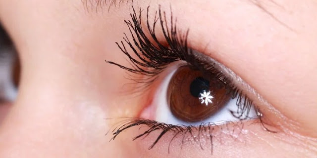 Easy and natural ways to grow eyelashes