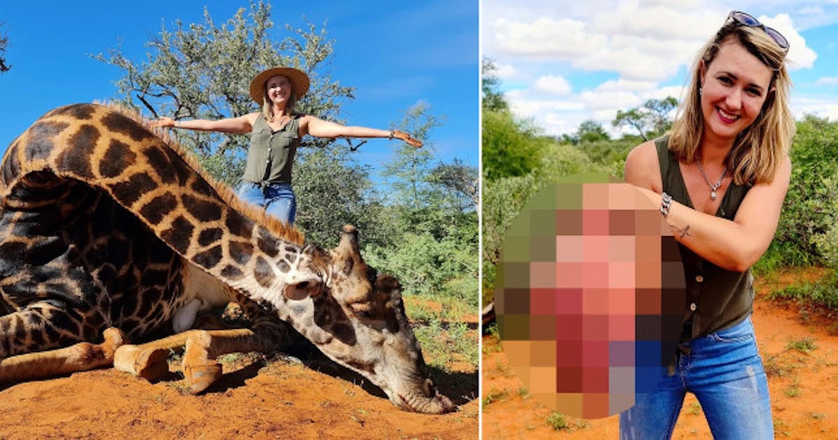 Trophy Hunter Who Poses With Heart Of Giraffe Says She Was Helping The Species