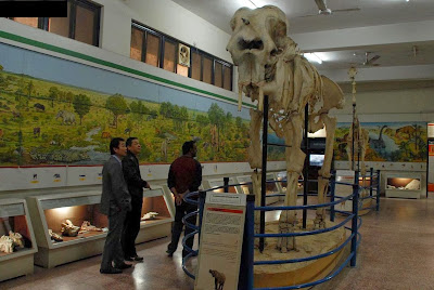 Visitors taking interest in the model of an animal at Pakistan Museum of Natural History