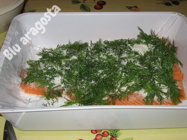 come preparare salmone marinato svedese gravad lax