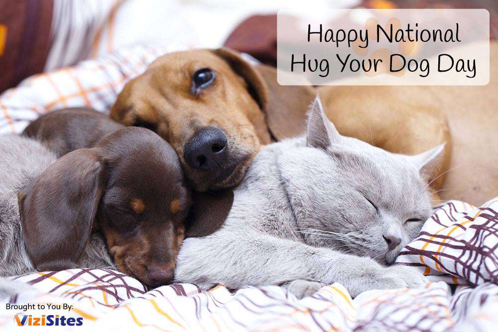 National Hug Your Dog Day Wishes Images Whatsapp Images