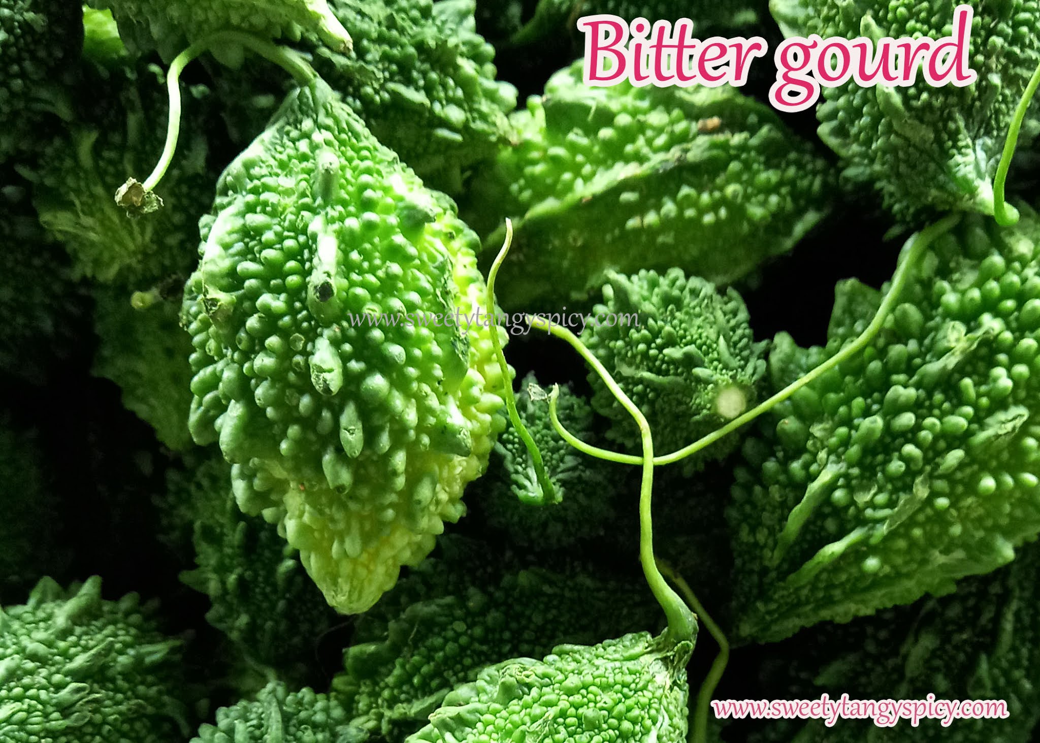 Bitter gourd