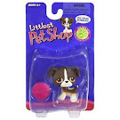 Littlest Pet Shop Singles Boxer (#287) Pet