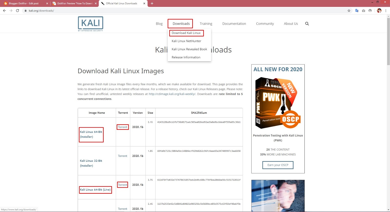 kali iso kali iso