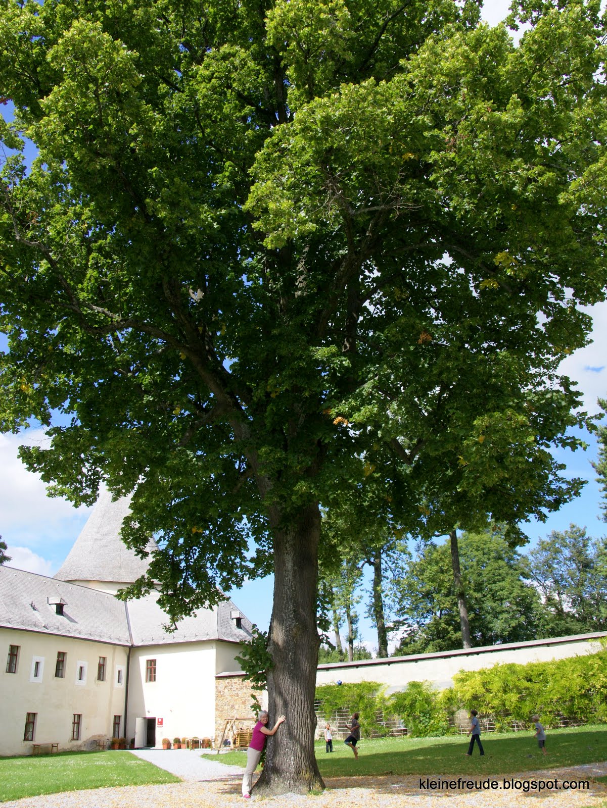 kleine freude Die Linde