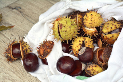 Fare il sapone con le castagne matte