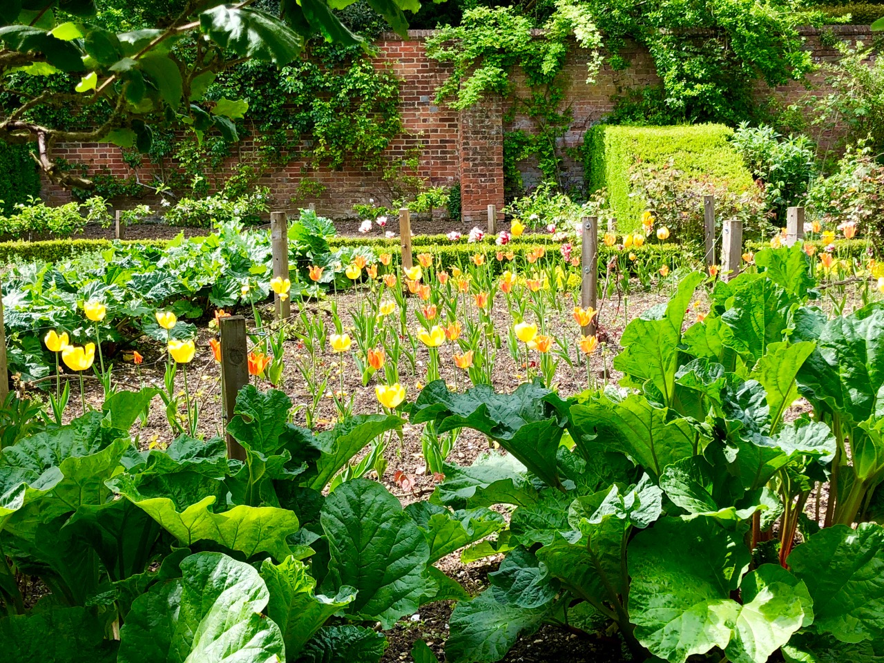 10 best spring gardens 2018 (2) West Green House, Hampshire
