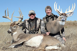 giant whitetail with decoy