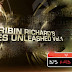 Vibes Unleashed Vol-1 - Ribin Richard (2011)