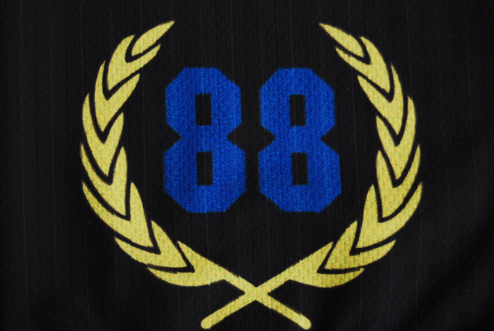 AMBRI PIOTTA HCAP ULTRAS SCHAL SCIARPA (Gebraucht) in für CHF 45 – mit