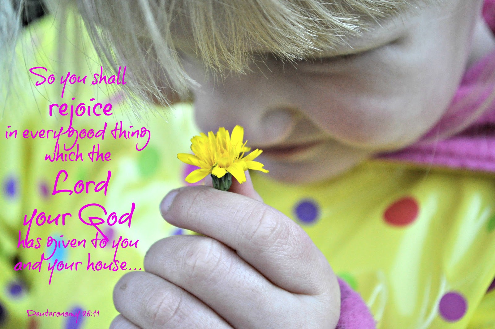 Just following Jesus in my real life...: Deuteronomy 26:11...