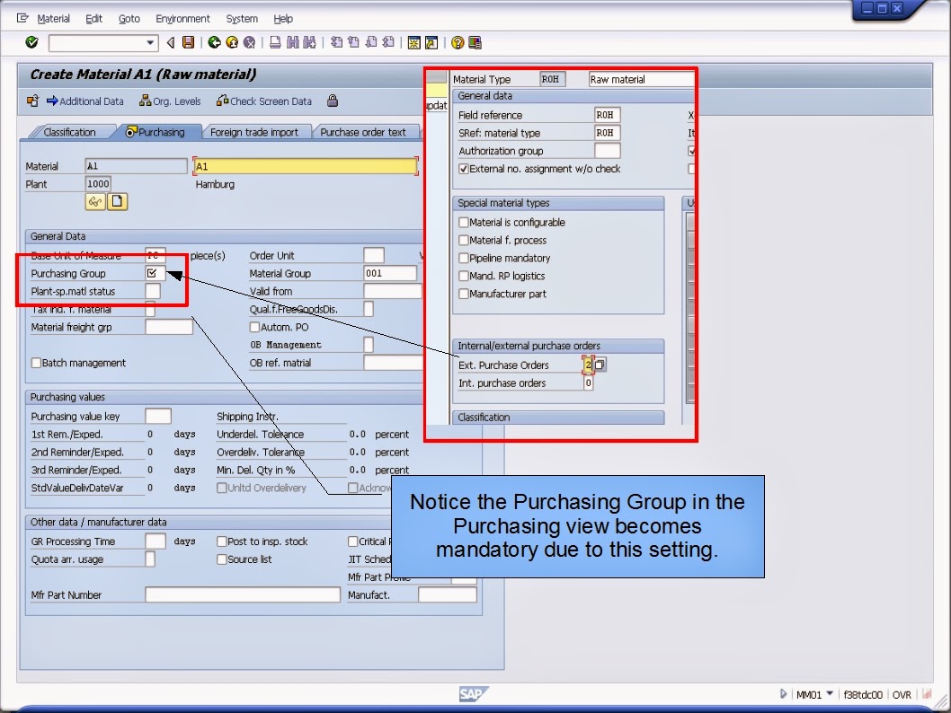 青蛙SAP分享 Froggy's SAP sharing Material Type ROH (Raw Material) for External Procurement Only
