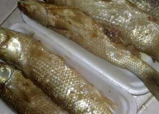 صور فسيخ Herring ورنجة اكلات شم النسيم