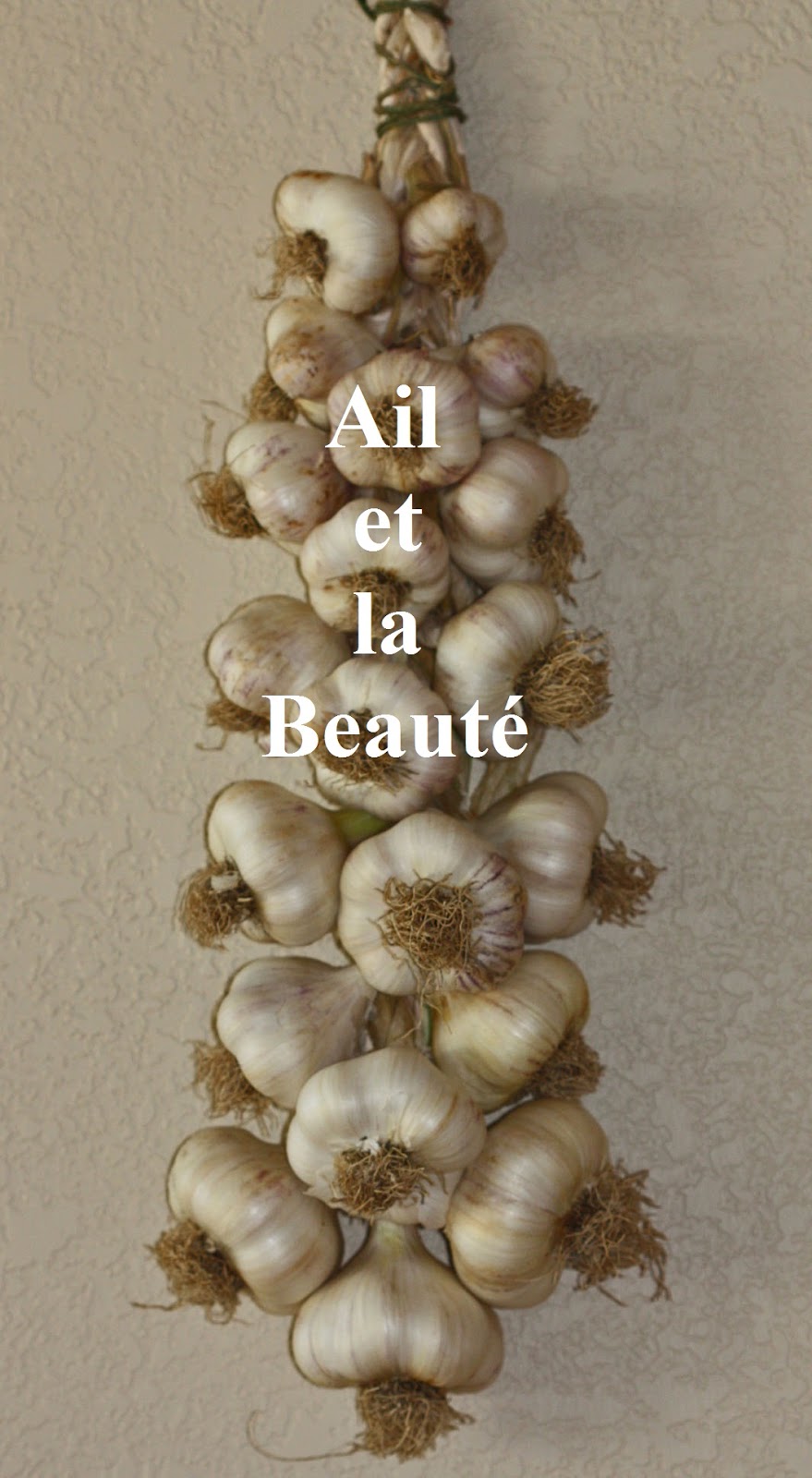 20 utilisations insolites de l'ail ~ Sport et Santé