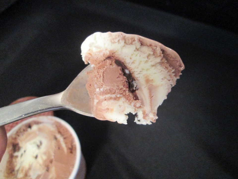 David's Ice Cream Reviews Museum of Ice Cream Cone Zone