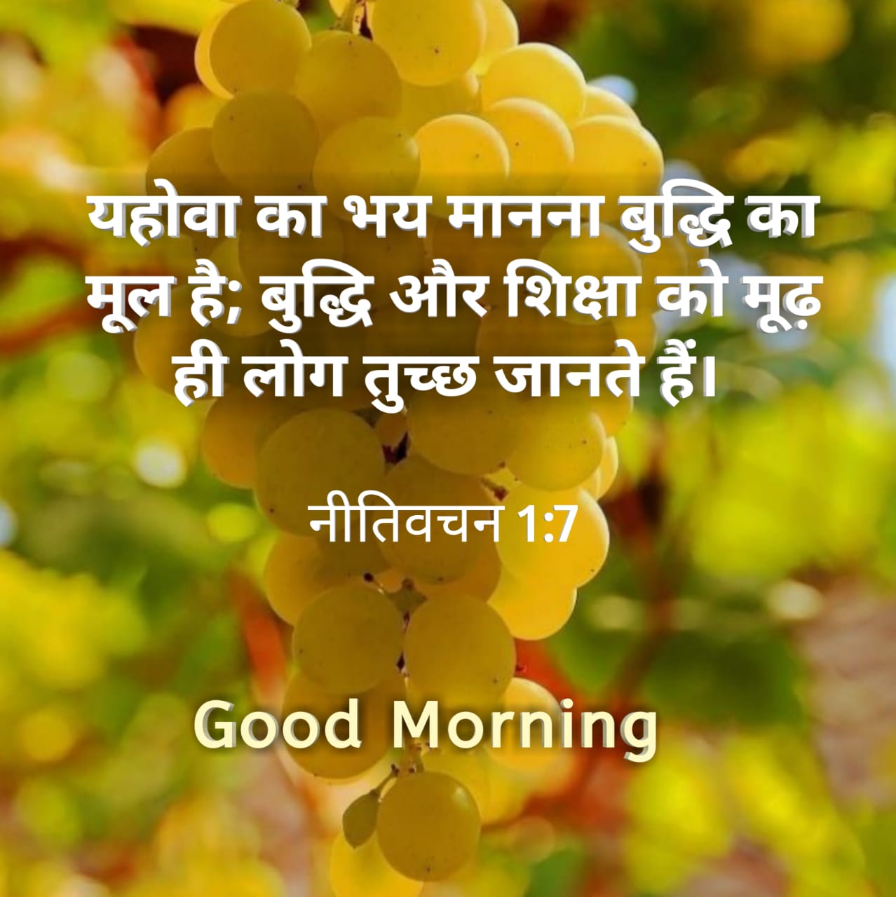 हिन्दी बाइबल वचन । Good Morning Bible Quotes images wallpaper photo download