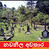 නවනීල අවතාර (Nawaneela Awathara)