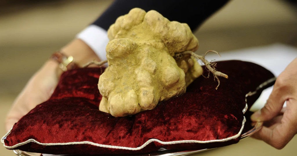 Bhotelier Five Most Expensive Truffles Ever