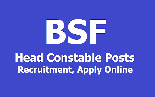 BSF Head Constable Posts Recruitment 2019, Apply Online upto June 12 BSF Head Constable Posts Recruitment